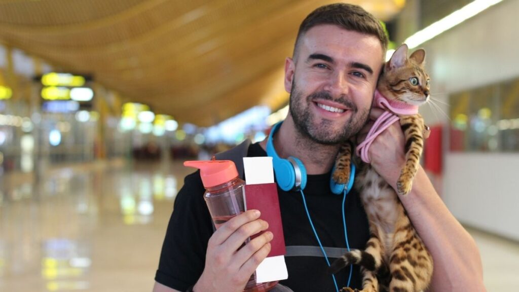 How To Fly With Your Pet In The Airlines? 